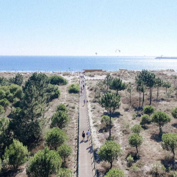 Vista aérea para o pinhal e para a praia do Cabedelo, num dia de sol, com o Bar de Praia do FeelViana ao fundo, no areal. 